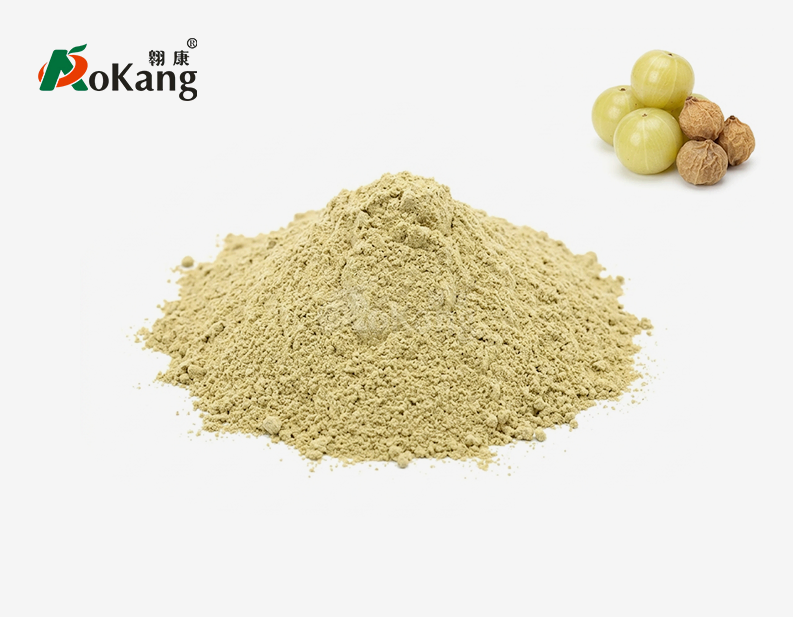 Phyllanthus Emblica Powder